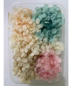 Caja Naturaleza Muerta Mixta.