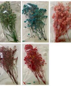 Flores Secas variadas 10 gr