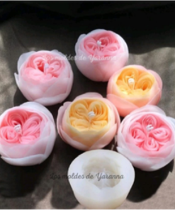 Molde Rosa 4 botones