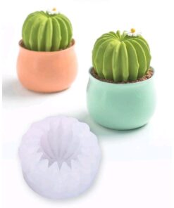 Molde Suculenta visnaga Individual