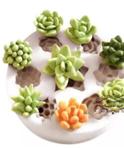 Molde Suculentas Varias #1
