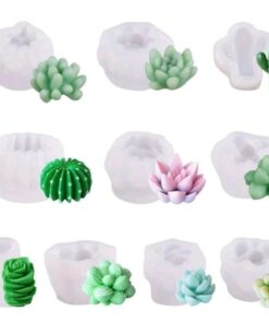 Molde Kit Suculentas 10 piezas